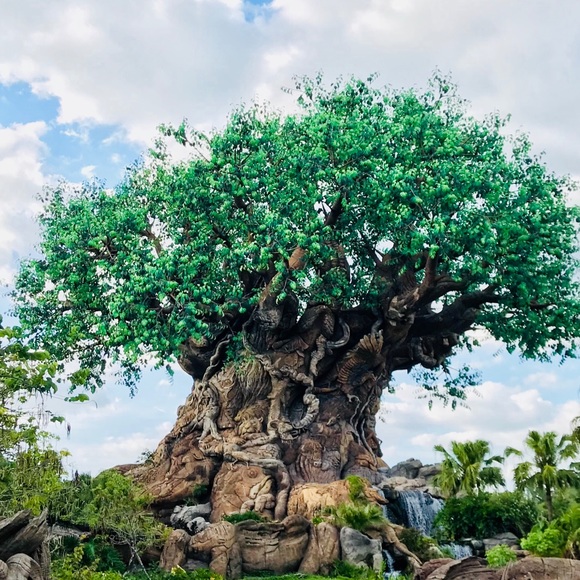 Meet your Posher, Jeremy - Picture 1 of 1